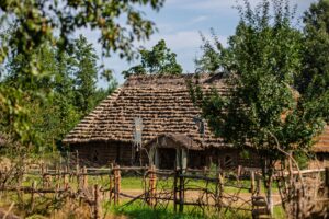 532492428_1157133166438756_3648546862508742362_n