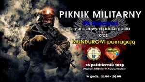 piknik militarny plakat
