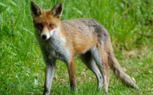 pexels-malcolm-stirling-507886076-32399355